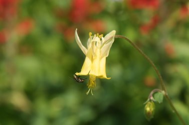 119_copy.jpg 119_copy.jpg