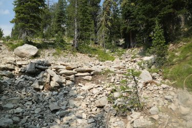 156.jpg 156.jpg