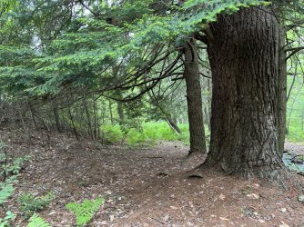 IMG_e3860.JPG