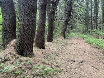 IMG_e4139.JPG
