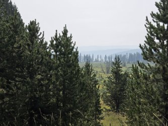 45863.jpg