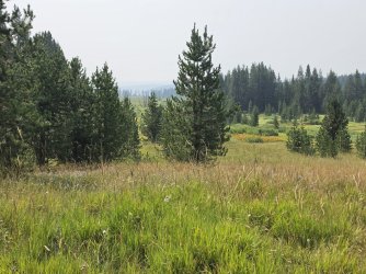 45864.jpg