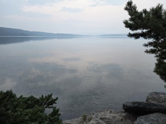 45878.jpg