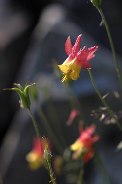0O7A0446.JPG