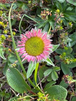 IMG_6704.jpeg