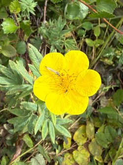 IMG_7166.jpeg