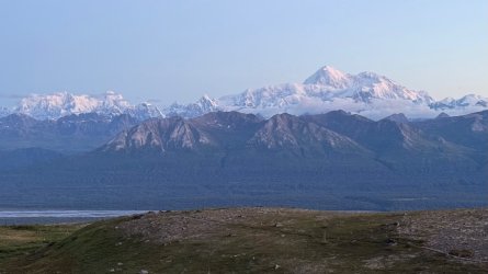 IMG_7233.jpeg