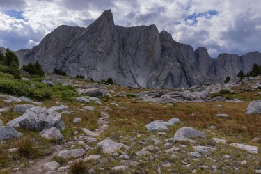 _19A7449.jpg