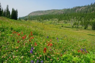 2026-Yellowstone-0031.JPG