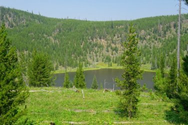 2026-Yellowstone-0032.JPG