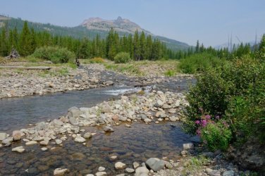 2026-Yellowstone-0061.JPG