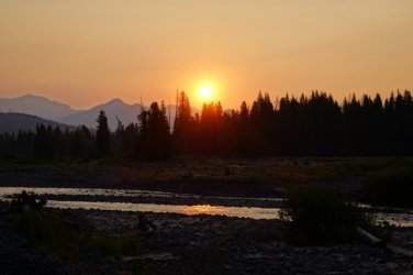 2026-Yellowstone-0068.JPG