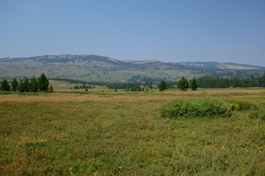 2026-Yellowstone-0111.JPG