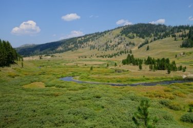 2026-Yellowstone-0116.JPG