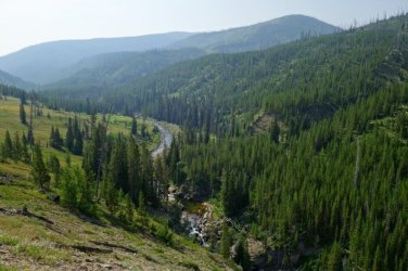 2026-Yellowstone-0123.JPG