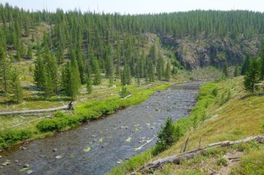 2026-Yellowstone-0127.JPG