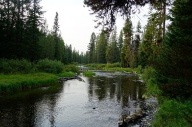 2026-Yellowstone-0133.JPG