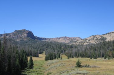 IMG_2455.JPG