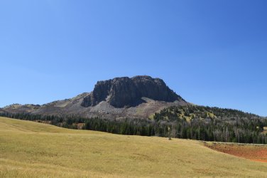 IMG_2459.JPG