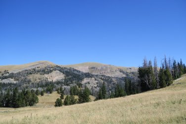 IMG_2462.JPG