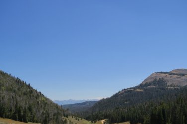 IMG_2464.JPG