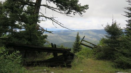 IMG_005.JPG