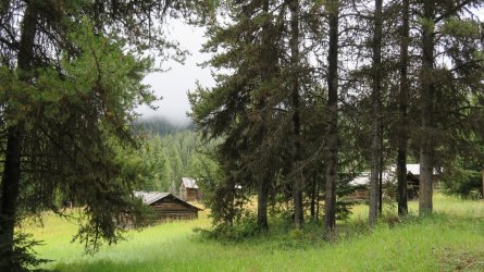 IMG_2556.JPG