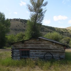 IMG_2503.JPG