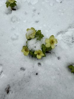 IMG_8366.jpeg