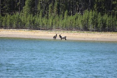 Review_Image_03.jpg