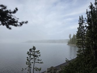 46754.jpg