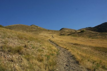 120.jpg