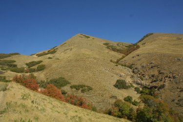 144.jpg