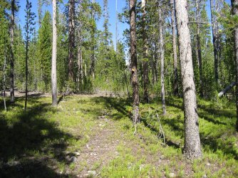120.jpg