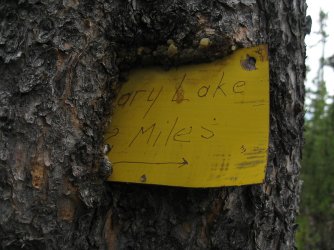 133.jpg