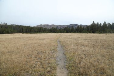 80.jpg