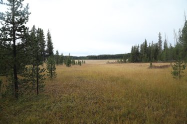 83.jpg