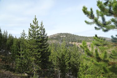 95.jpg