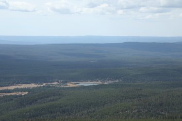 98.jpg