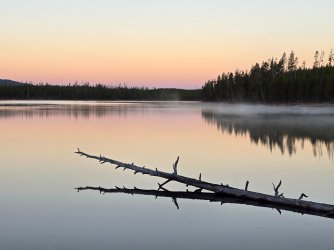 20260926_071738.jpg