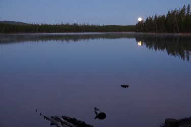 DSC06824.JPG