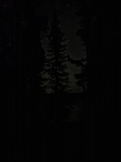 47250.jpg