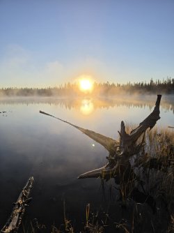47283.jpg