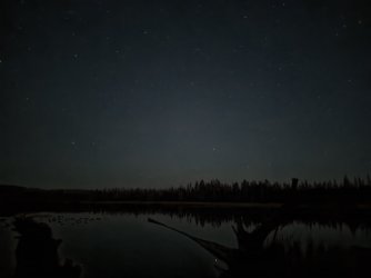 47362.jpg