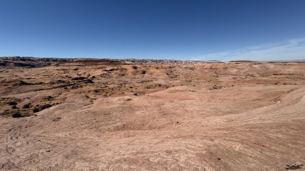 IMG_7459.jpg