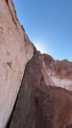 IMG_7736 (1).jpg