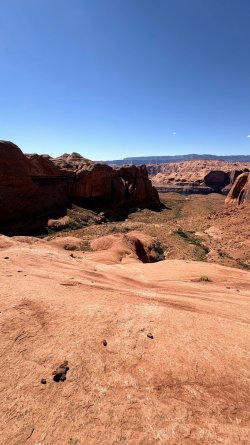 IMG_7791 (1).jpg