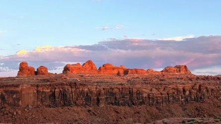 IMG_7847.jpg