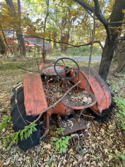 IMG_1120.jpeg