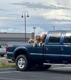 IMG_1199.jpeg
